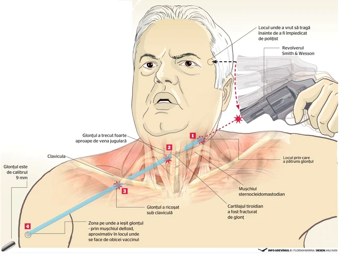 Traseul glonţului tras de Năstase/ Infografie: Florina Marina, Desen: Vali Ivan