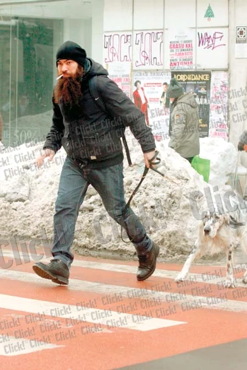 Cântăreţul traversează nestingherit pe roşu, în timp ce Setterul său se smuceşte în lesă (Fotografii: blitz)