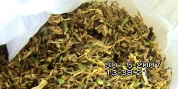 Craiova: VIDEO / Droguri aduse din Maroc au avut destinaţie precisă