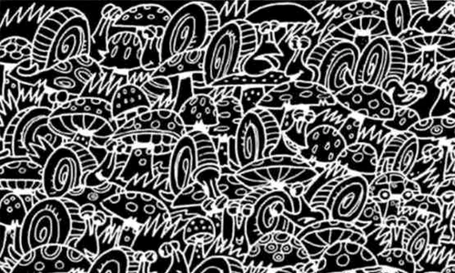 hidden images optical illusions 1754381355477 jpg
