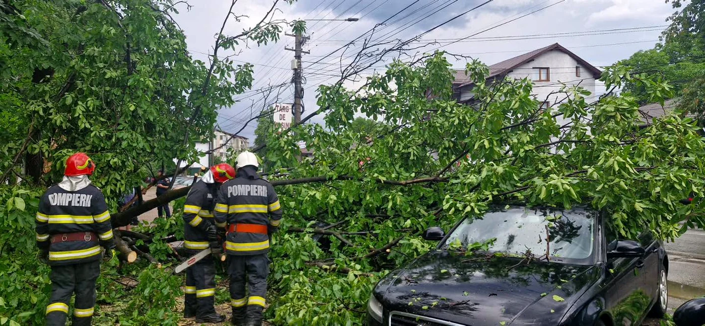Copac căzut peste o mașină. FOTO: Inspectoratul pentru Situații de Urgență