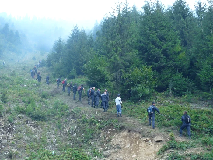 La acţiunea de stingere a incendiului participă 256 de persoane Foto: Adevărul