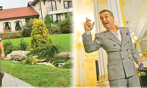 tatareanu becali122112 jpeg