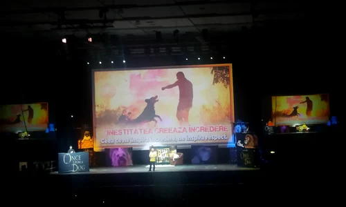 20170321 215340[1] jpeg