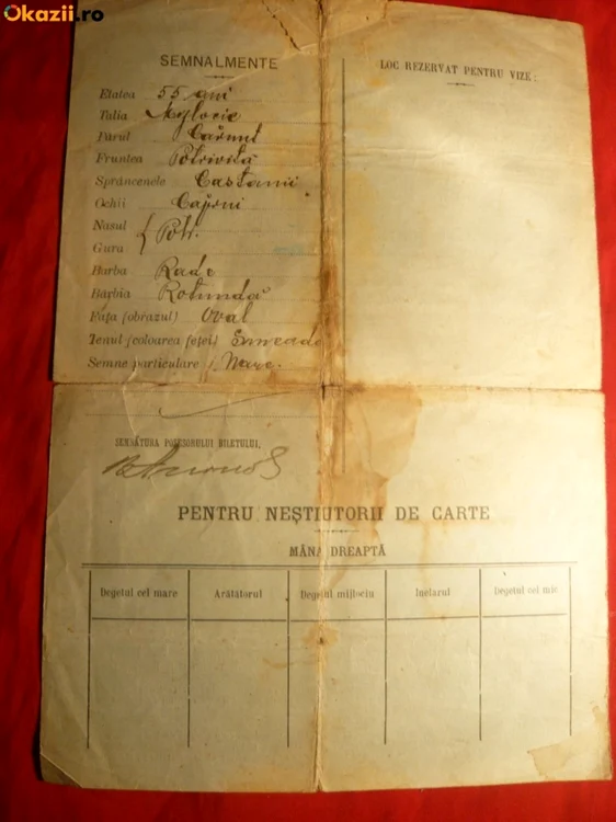 bilet de libera petrecere sursa