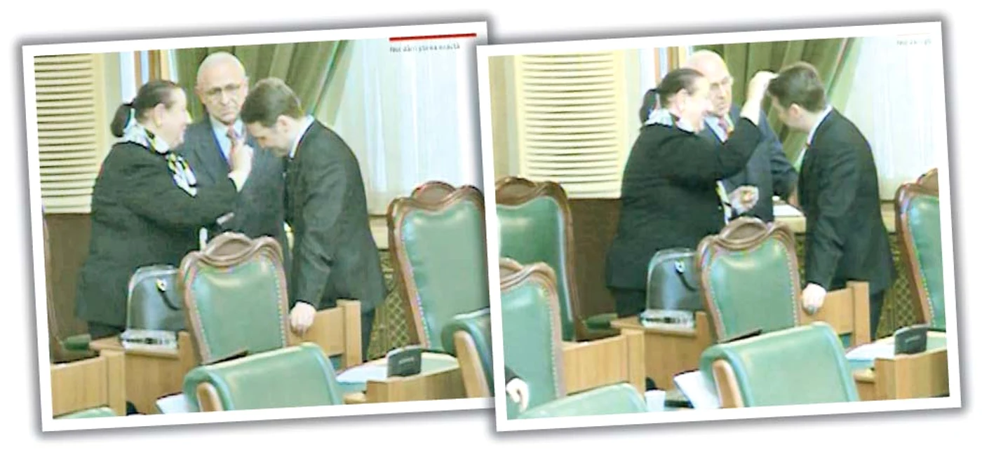 Dan Şova a fost miruit  intens de senatoarea  Florentina Jipa înainte  de votul din 25 martie