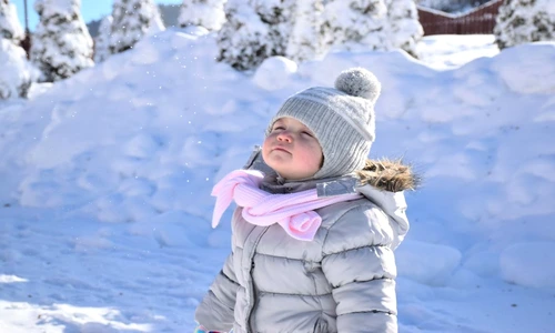 1 80066 original jpg jpeg