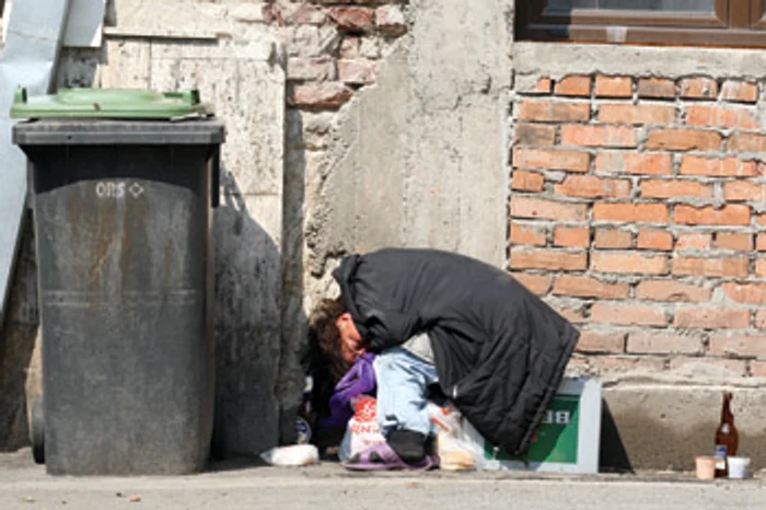 Timişoara: Aurolacii timişoreni, amorţiţi, dar agresivi