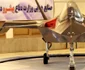 Qaher-313
