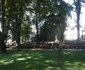 parcul municipal 10
