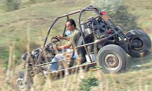 Buzoianul se plimbă aproape  zilnic pe dealurile din jurul  comunei Pietroasele jpeg