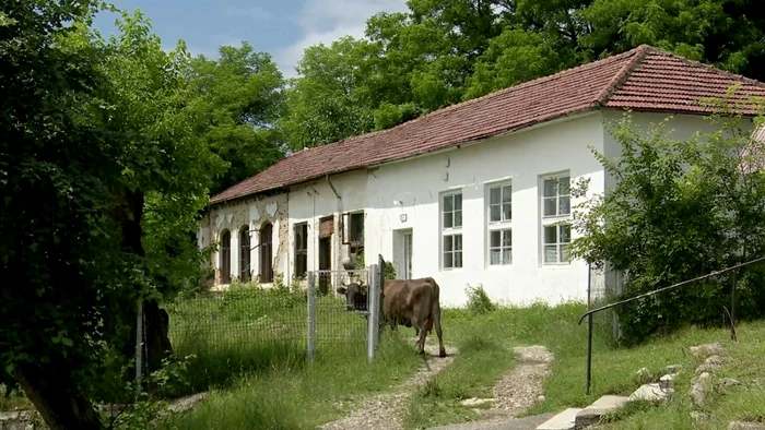 buzaupadurecozieni