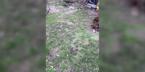 cainee blurr mp4 thumbnail png