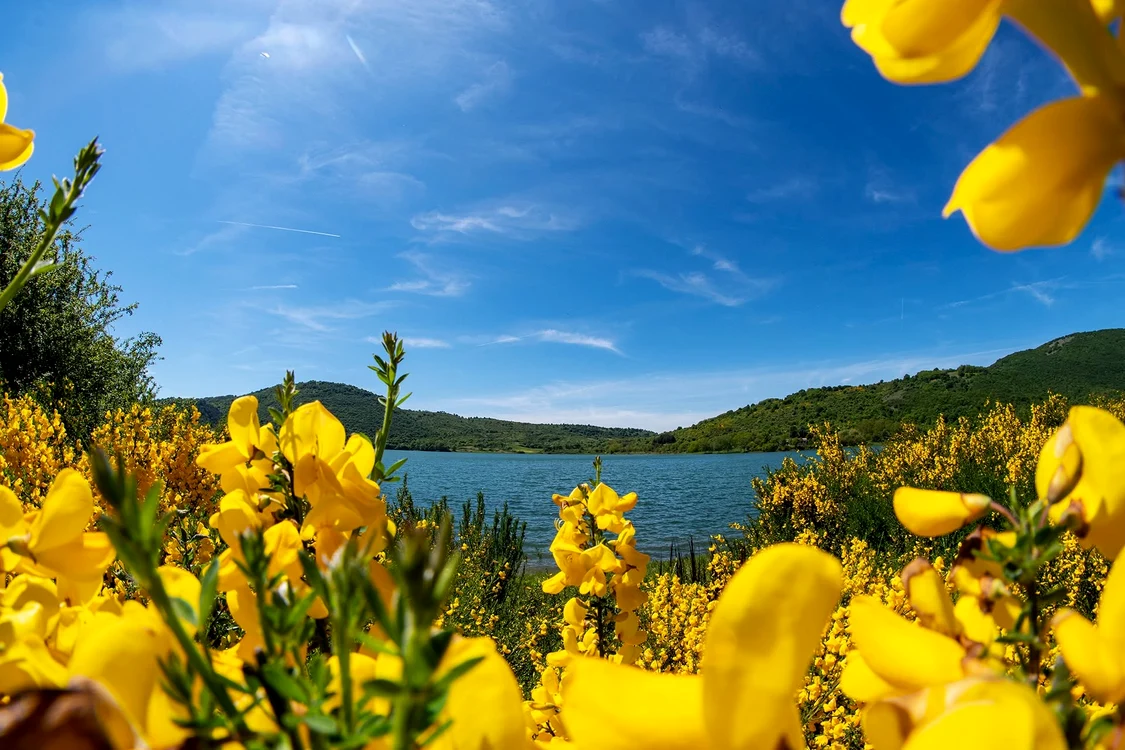Lacul este înconjurat de păduri, pajiști și dealuri