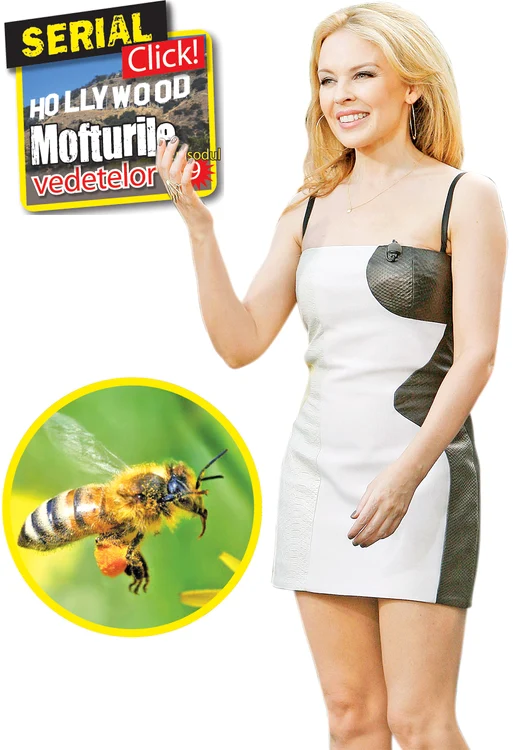 
    Kylie Minogue  