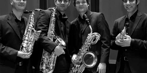 orchestra budapesta