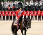 Repetițiile oficiale pentru parada Trooping the Colour, Profimedia