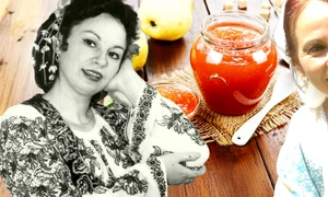 banner Gherghina Stancu  jpg