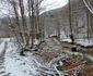 Valea Anineșului Drumul spre Fața Cetei (14) jpg