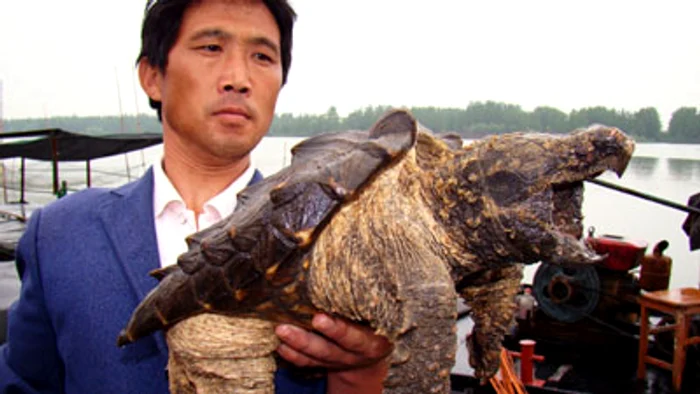 Pescarul s-a speriat de creatura nemaiîntâlnită