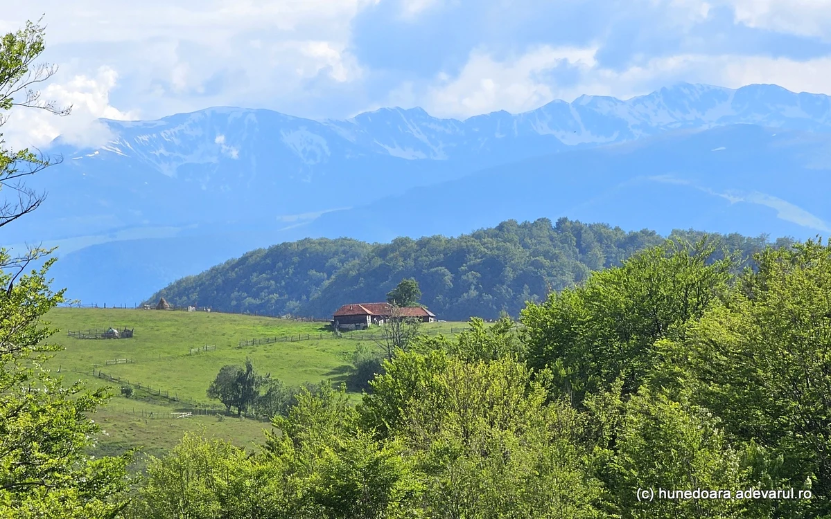 Munții Retezat, în fundal. Foto: Daniel Guță