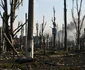 Orasul ucrainean Bakhmut distrus de razboi Foto Profimedia (3) jpg