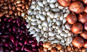 shutterstock 1695440026 jpeg