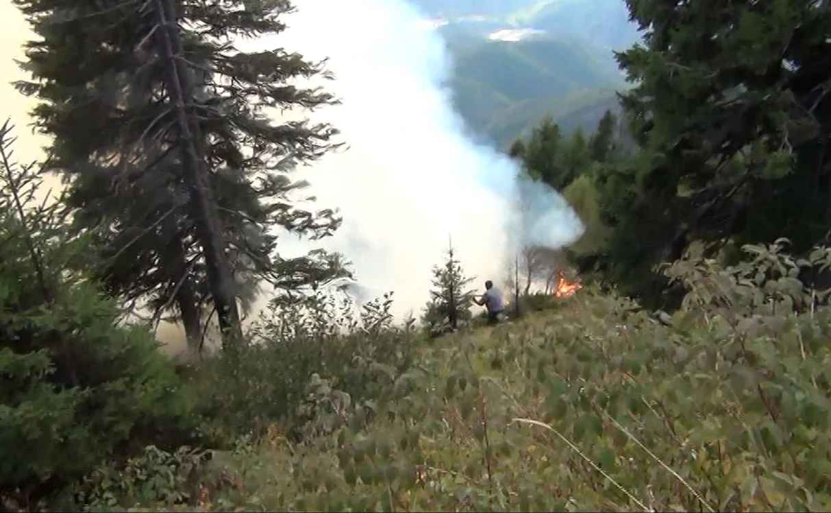 Terenul accidentat a îngreunat intervenţia pompierilor la incendiul de pe Muntele Cozia