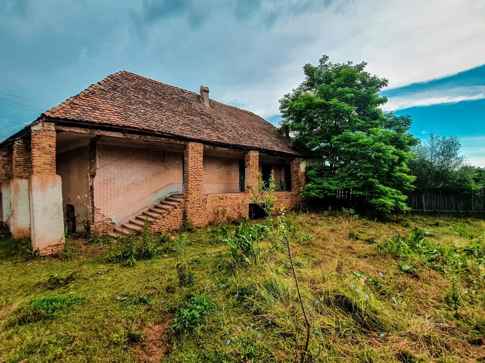 3 dana rogoz casa viscri 3 jpg jpeg