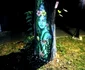 Artă stadală unică pe copacii din Râmnicu Vâlcea- autor Adrian Luţă Foto Arhiva personală