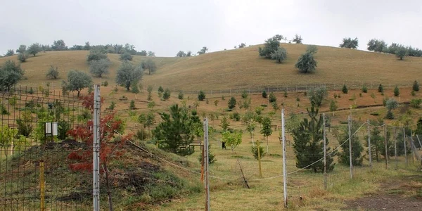 Parc Scânteieşti