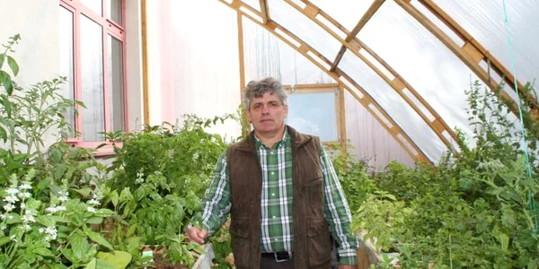 legume bio bistrita 1