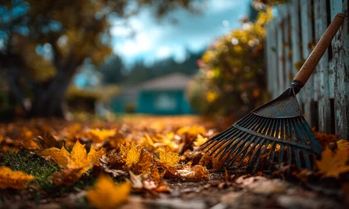 curte gradina gradinarit adobestock jpg