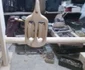 teorotaru