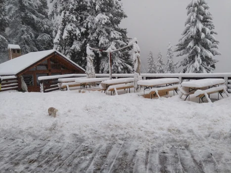 Stratul de zăpadă are 20 de cm la Cabana Postăvaru