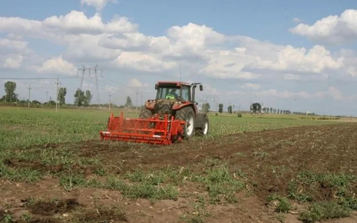 Lucrările agricole au fost încheiate Foto:Arhivă Adevărul