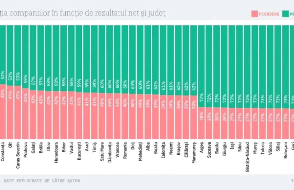 firme din romania pe pierdere