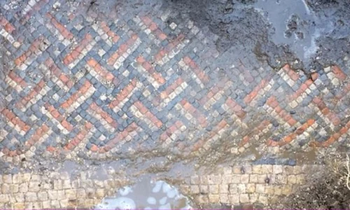 Când au săpat, au dat de un mozaic roman jpeg
