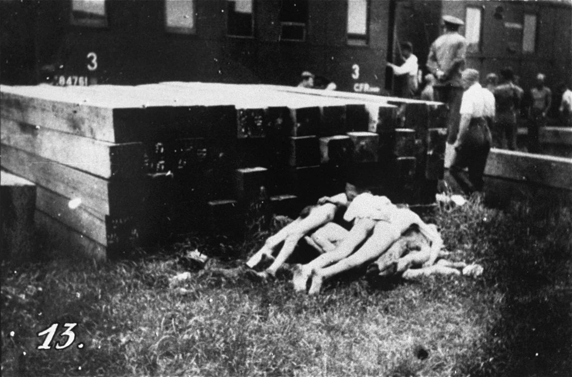 Imagini de groază cu mormane de cadavre erau peste tot. FOTO: USHMM