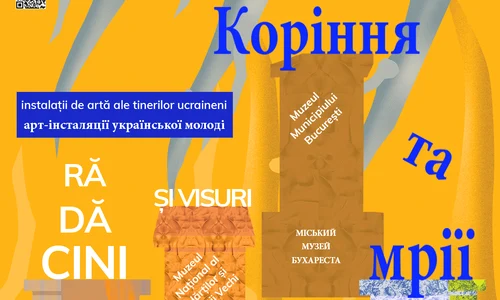 Proiectul Open Museums Open Hearts jpg