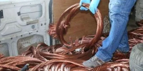 Tinerii au fost prinşi de poliţiştii din Băbeni