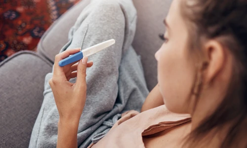 shutterstock 2374050359 jpg