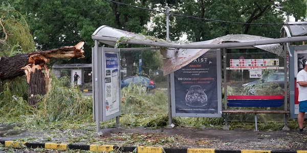 furtuna in oradea 13 JPG