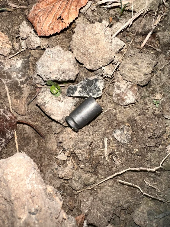 FOTO: Facebook Alexandru Bujorean