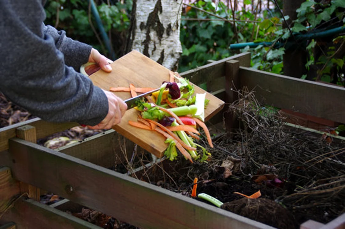 Ceaiul de compost poate fi util în curte / foto: Adobe Stock Images