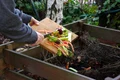 compost adobestock jpg
