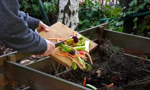 compost adobestock jpg
