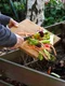 compost adobestock jpg