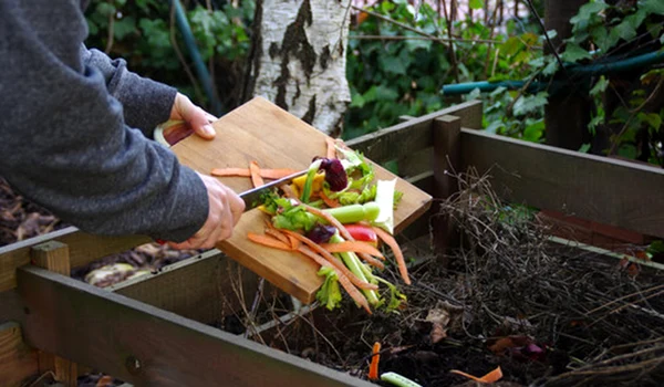 compost adobestock jpg