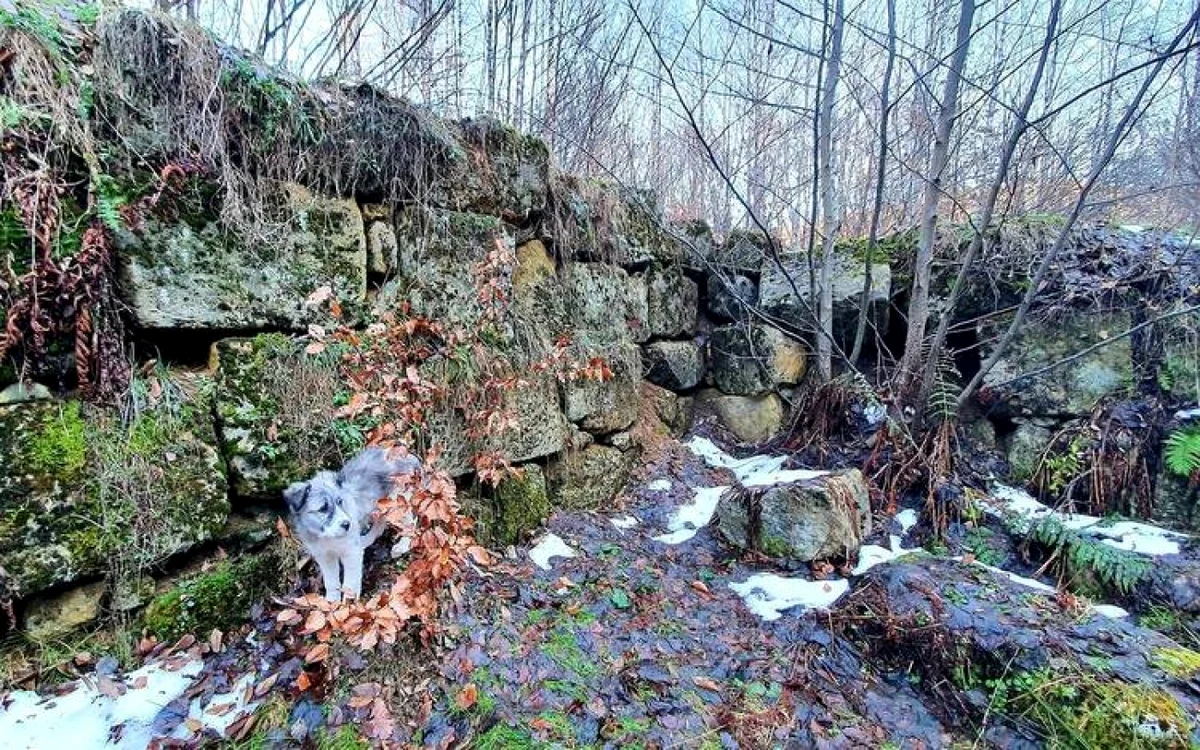 turnul poiana pertii foto aurora petan